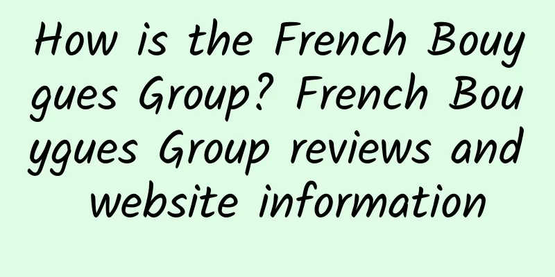 How is the French Bouygues Group? French Bouygues Group reviews and website information