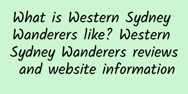 What is Western Sydney Wanderers like? Western Sydney Wanderers reviews and website information