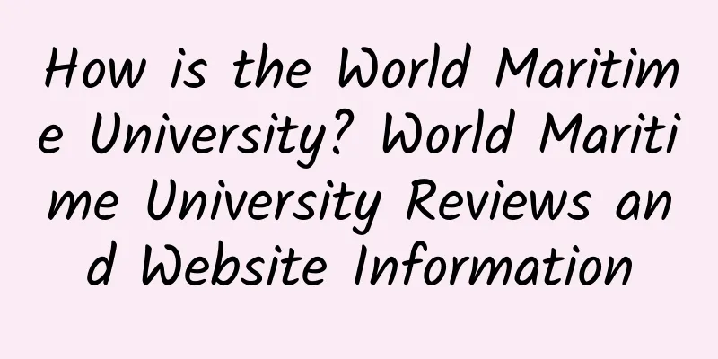 How is the World Maritime University? World Maritime University Reviews and Website Information