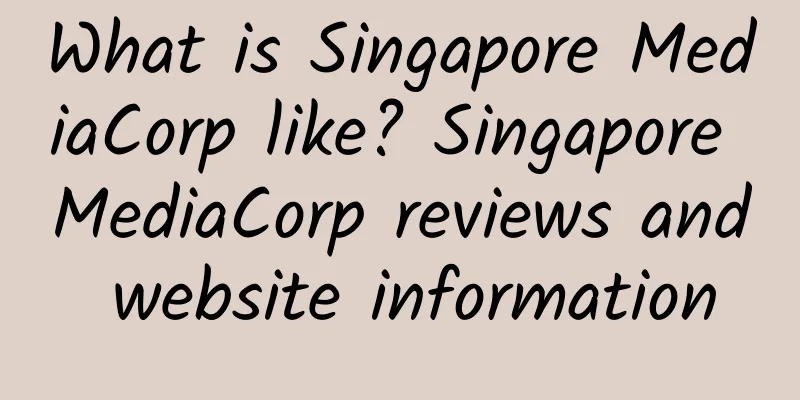 What is Singapore MediaCorp like? Singapore MediaCorp reviews and website information