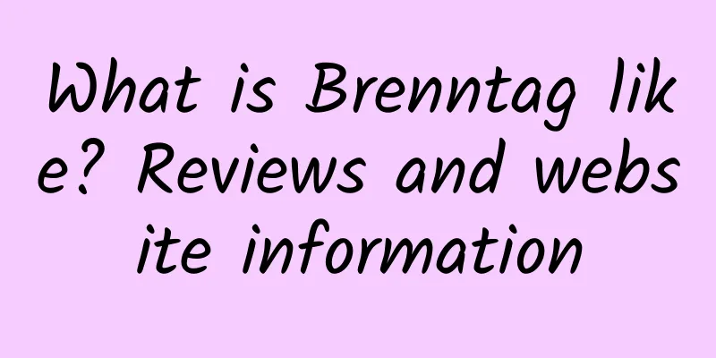What is Brenntag like? Reviews and website information