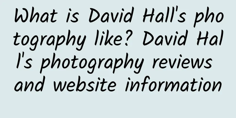 What is David Hall's photography like? David Hall's photography reviews and website information