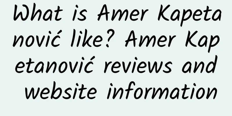 What is Amer Kapetanović like? Amer Kapetanović reviews and website information