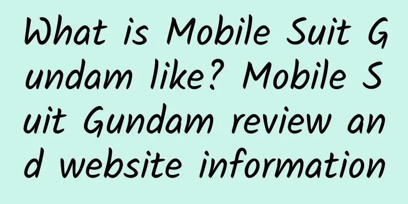 What is Mobile Suit Gundam like? Mobile Suit Gundam review and website information