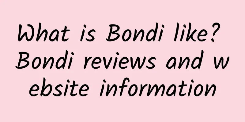 What is Bondi like? Bondi reviews and website information