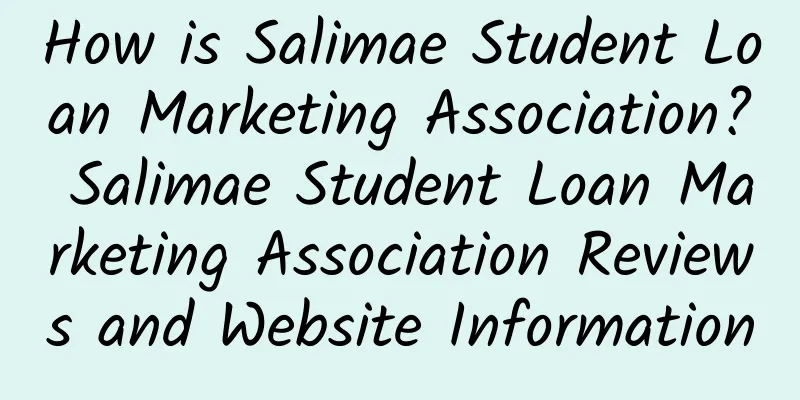 How is Salimae Student Loan Marketing Association? Salimae Student Loan Marketing Association Reviews and Website Information