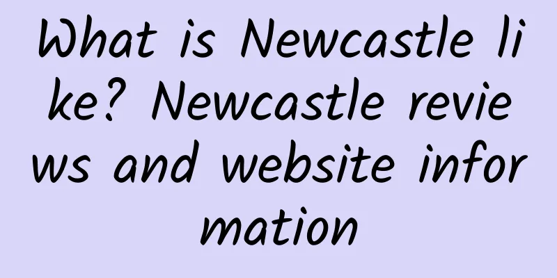 What is Newcastle like? Newcastle reviews and website information