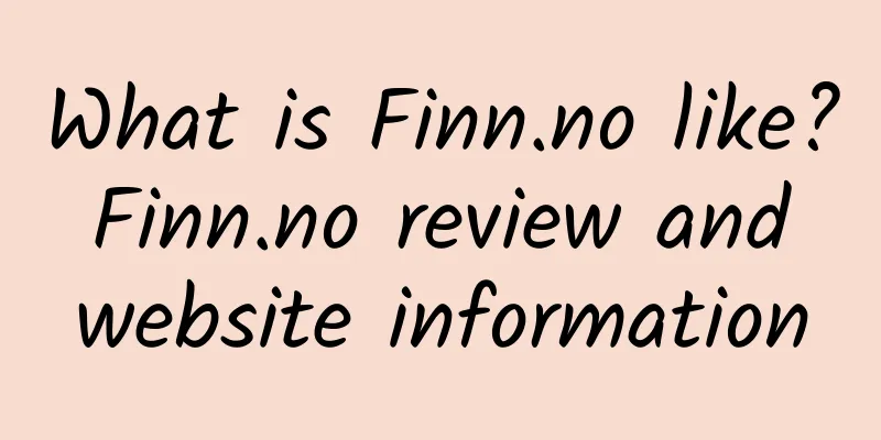 What is Finn.no like? Finn.no review and website information