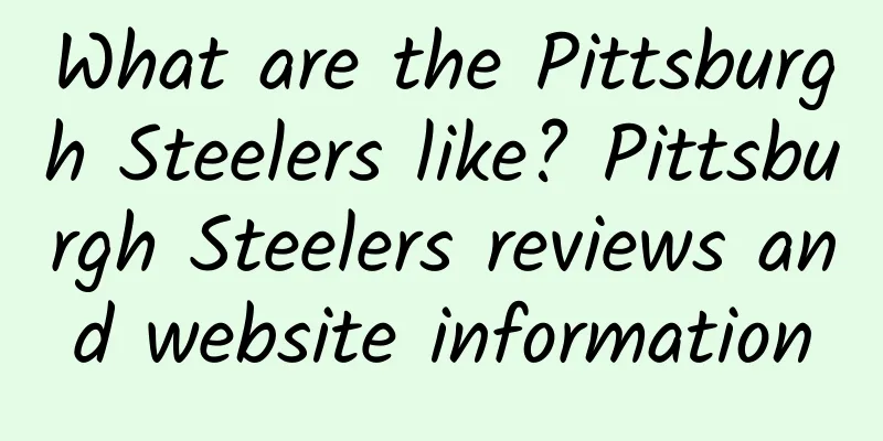 What are the Pittsburgh Steelers like? Pittsburgh Steelers reviews and website information