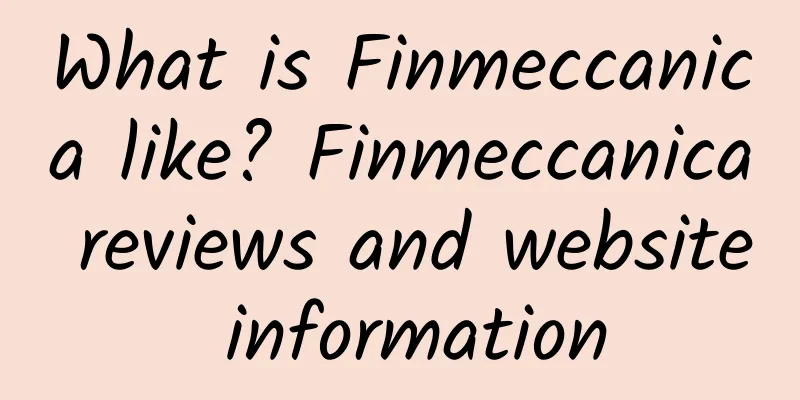 What is Finmeccanica like? Finmeccanica reviews and website information