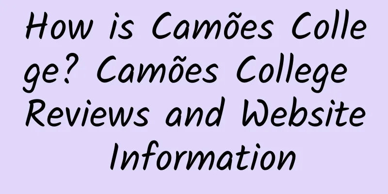How is Camões College? Camões College Reviews and Website Information