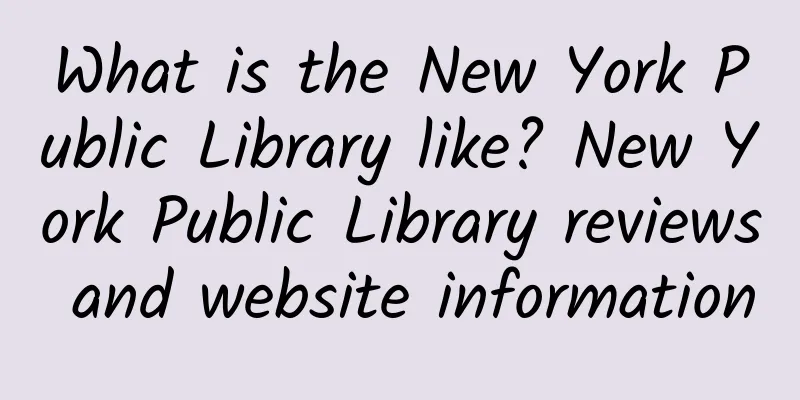 What is the New York Public Library like? New York Public Library reviews and website information
