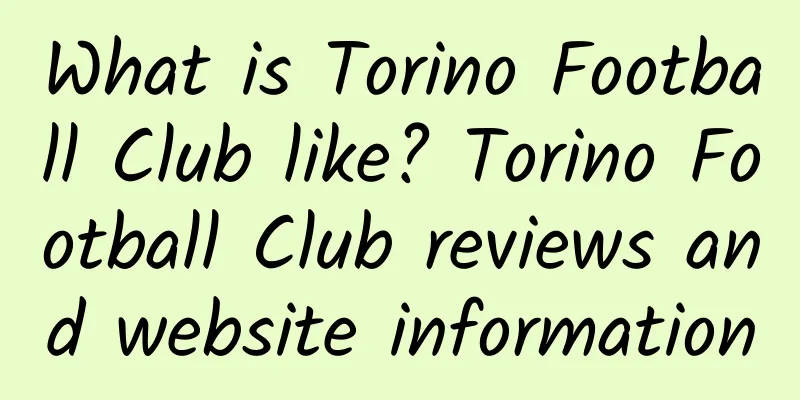 What is Torino Football Club like? Torino Football Club reviews and website information