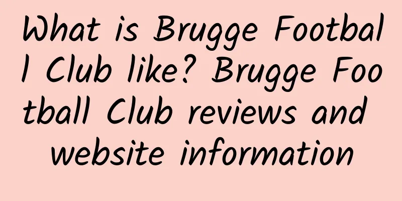 What is Brugge Football Club like? Brugge Football Club reviews and website information