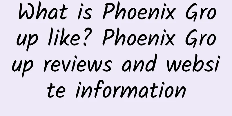 What is Phoenix Group like? Phoenix Group reviews and website information