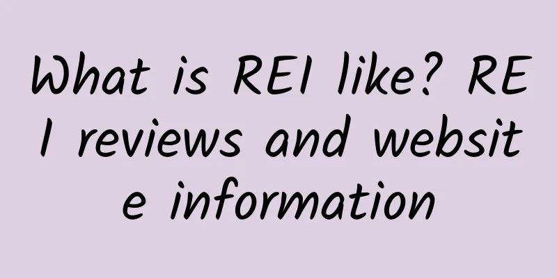 What is REI like? REI reviews and website information