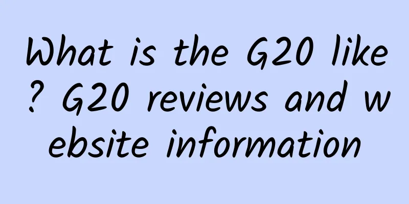 What is the G20 like? G20 reviews and website information