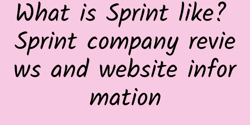 What is Sprint like? Sprint company reviews and website information