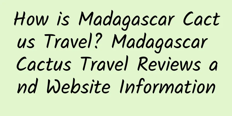 How is Madagascar Cactus Travel? Madagascar Cactus Travel Reviews and Website Information