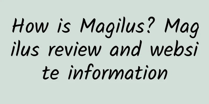 How is Magilus? Magilus review and website information