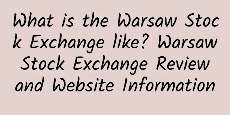 What is the Warsaw Stock Exchange like? Warsaw Stock Exchange Review and Website Information