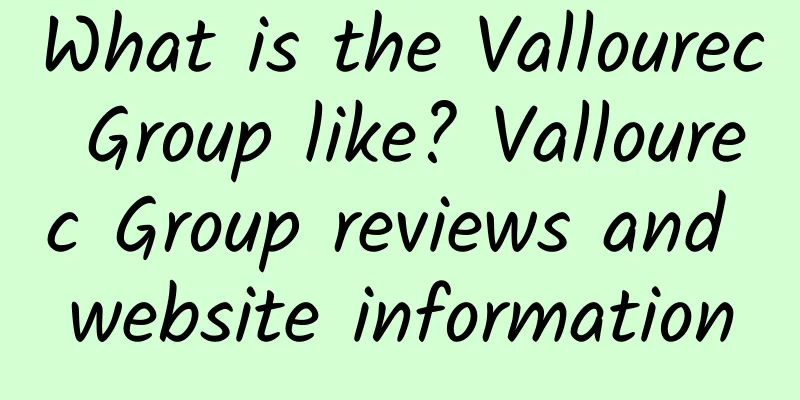 What is the Vallourec Group like? Vallourec Group reviews and website information