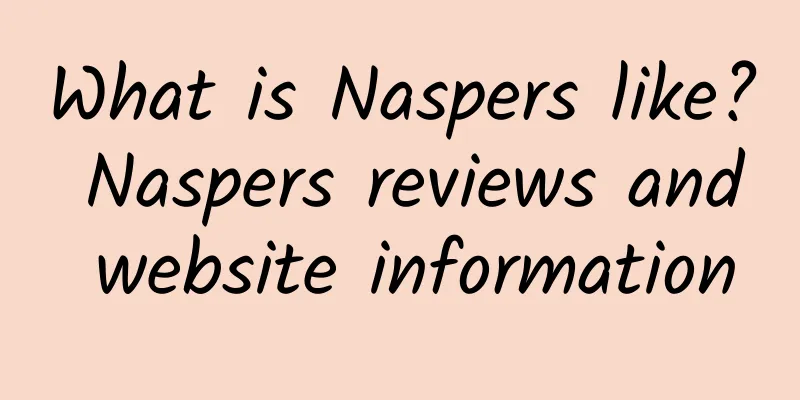 What is Naspers like? Naspers reviews and website information