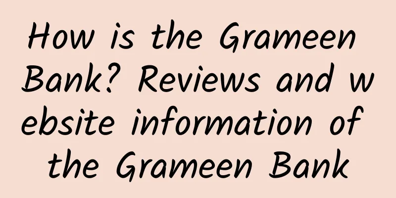 How is the Grameen Bank? Reviews and website information of the Grameen Bank