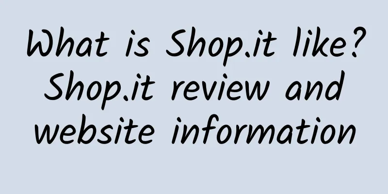 What is Shop.it like? Shop.it review and website information
