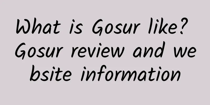 What is Gosur like? Gosur review and website information