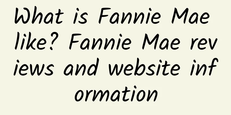 What is Fannie Mae like? Fannie Mae reviews and website information