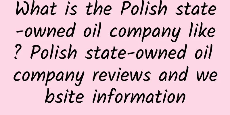 What is the Polish state-owned oil company like? Polish state-owned oil company reviews and website information