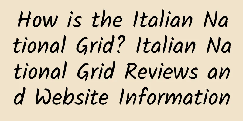 How is the Italian National Grid? Italian National Grid Reviews and Website Information