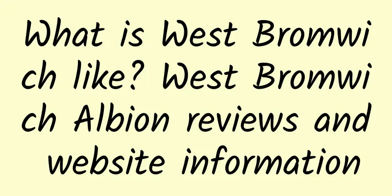 What is West Bromwich like? West Bromwich Albion reviews and website information