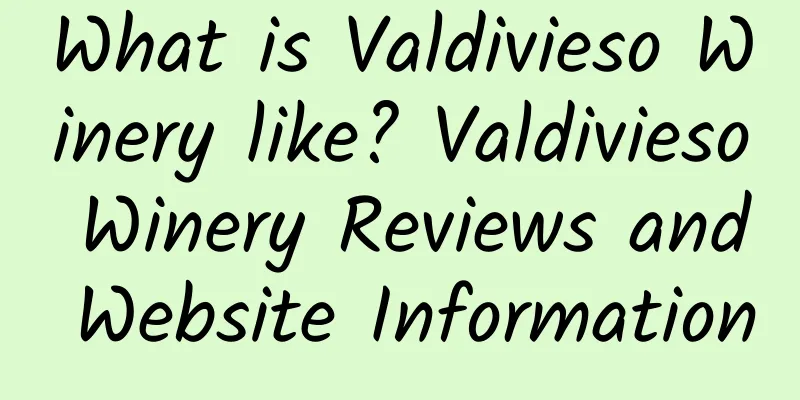 What is Valdivieso Winery like? Valdivieso Winery Reviews and Website Information