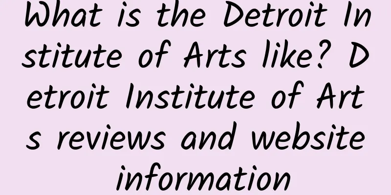 What is the Detroit Institute of Arts like? Detroit Institute of Arts reviews and website information