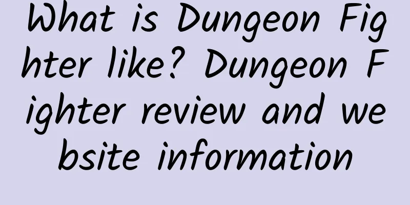 What is Dungeon Fighter like? Dungeon Fighter review and website information