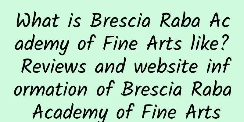 What is Brescia Raba Academy of Fine Arts like? Reviews and website information of Brescia Raba Academy of Fine Arts