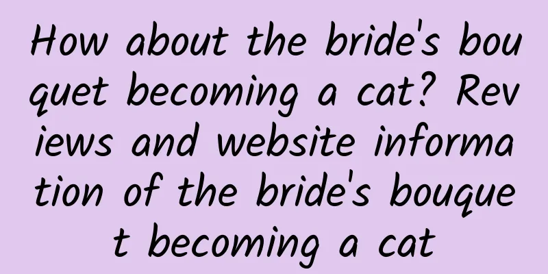 How about the bride's bouquet becoming a cat? Reviews and website information of the bride's bouquet becoming a cat