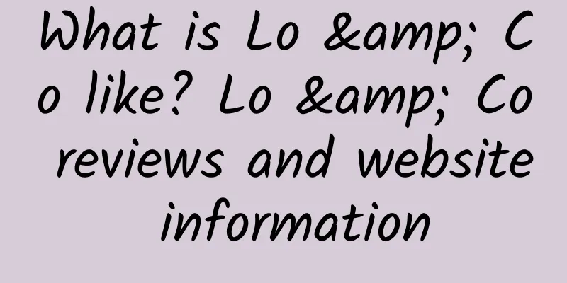 What is Lo & Co like? Lo & Co reviews and website information