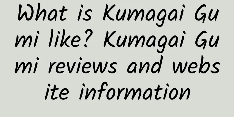 What is Kumagai Gumi like? Kumagai Gumi reviews and website information