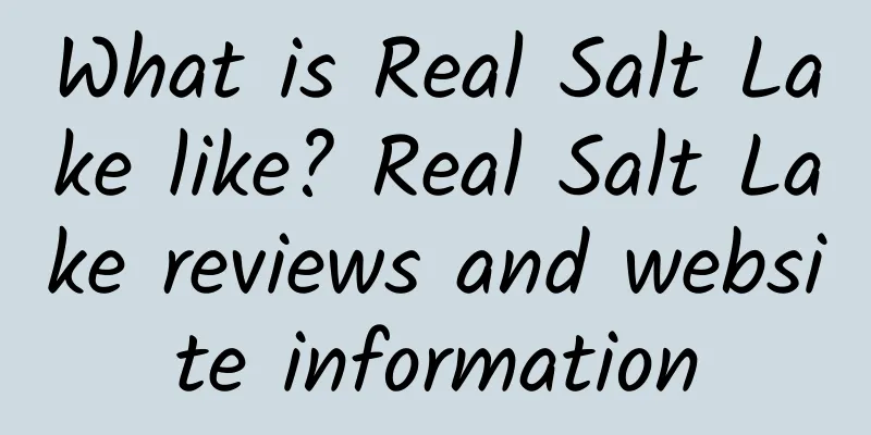 What is Real Salt Lake like? Real Salt Lake reviews and website information
