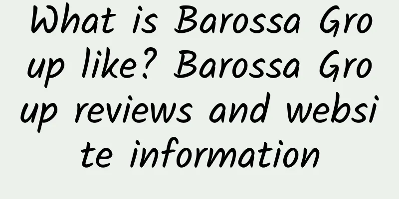 What is Barossa Group like? Barossa Group reviews and website information