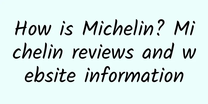 How is Michelin? Michelin reviews and website information