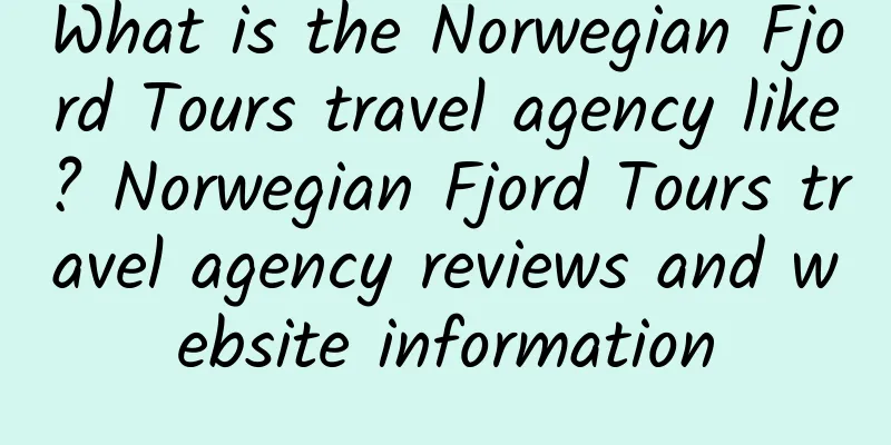 What is the Norwegian Fjord Tours travel agency like? Norwegian Fjord Tours travel agency reviews and website information