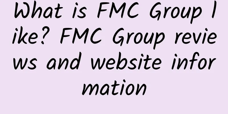 What is FMC Group like? FMC Group reviews and website information