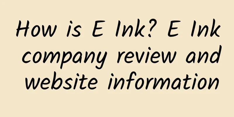 How is E Ink? E Ink company review and website information