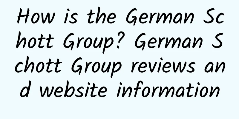 How is the German Schott Group? German Schott Group reviews and website information