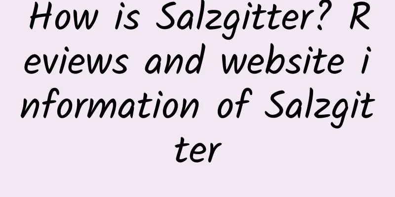 How is Salzgitter? Reviews and website information of Salzgitter