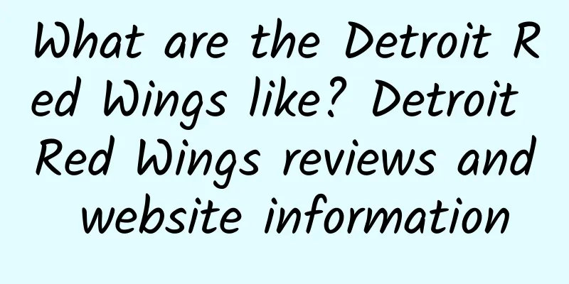 What are the Detroit Red Wings like? Detroit Red Wings reviews and website information